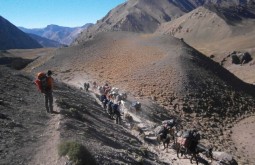 aconcagua