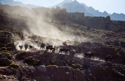 aconcagua