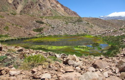 trekking-over-the-andes--mendoza-to-santiago