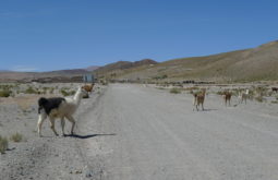 llullaillaco-and-incan-mountains