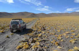 llullaillaco-and-incan-mountains