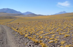 llullaillaco-and-incan-mountains