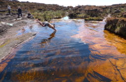 mont-roraima--brazilvenezuela